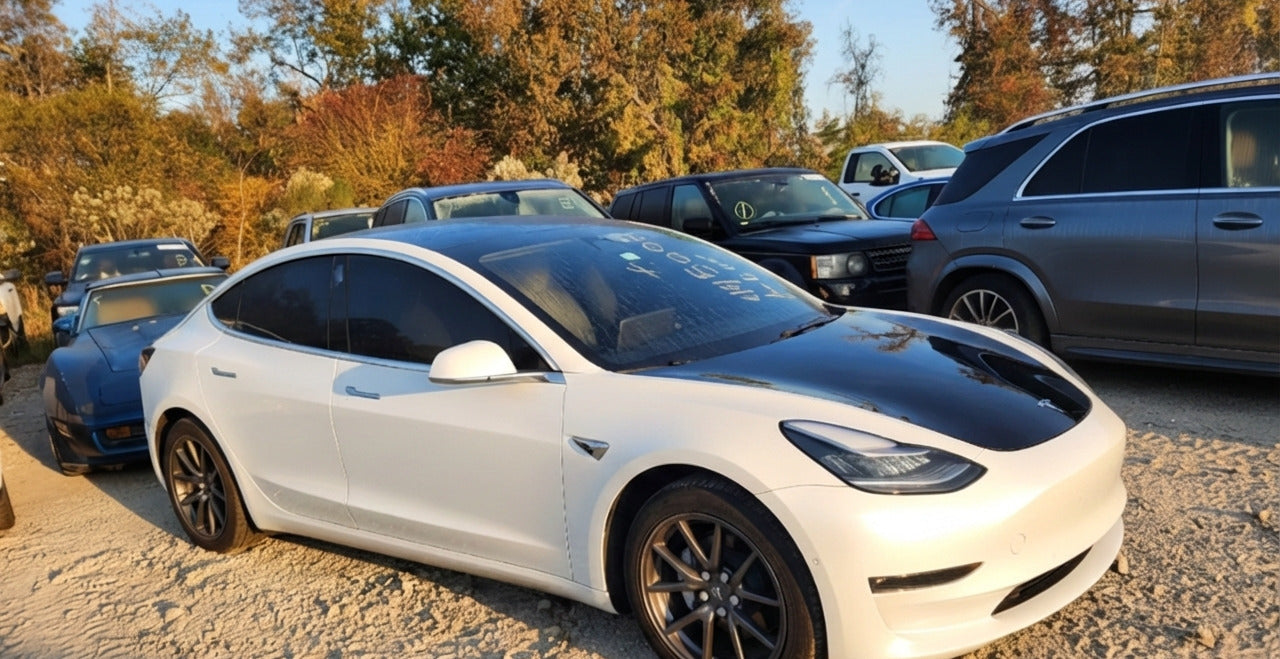 2019 Tesla Model 3 | White/White | Dual Motor AWD | VIN