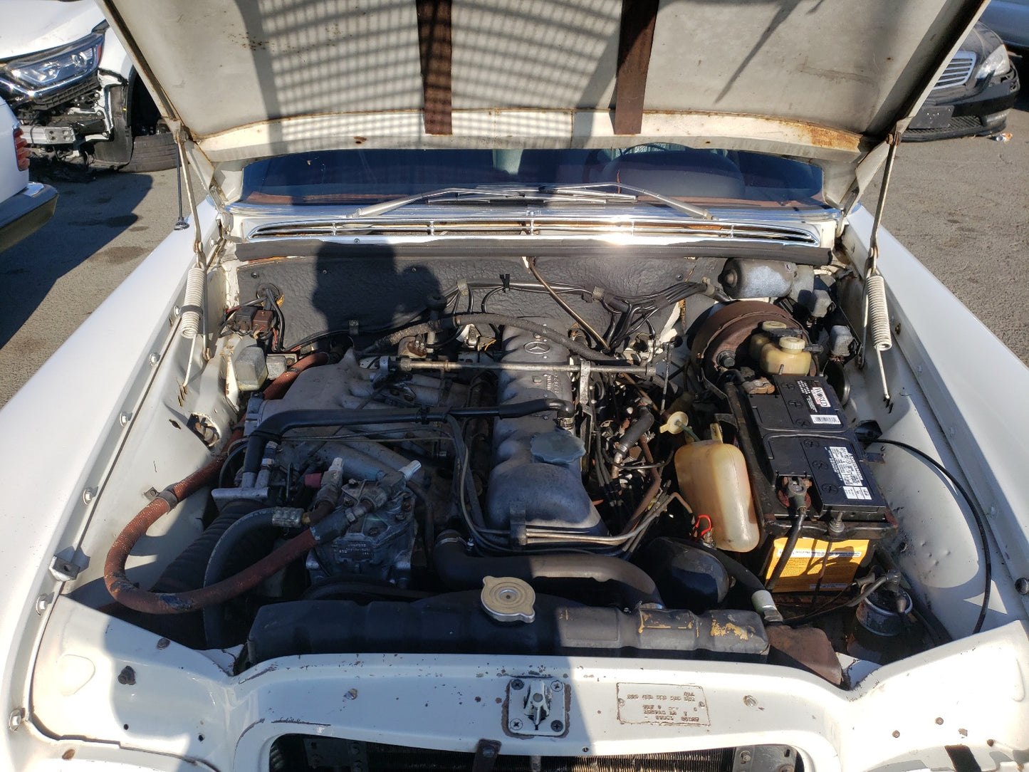 1969 MERCEDES-BENZ 280 SE - 10801812031129