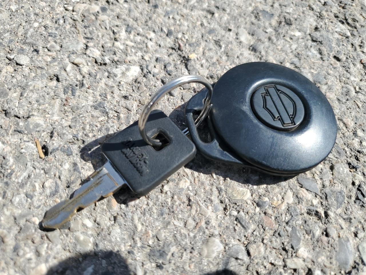 2006 HARLEY-DAVIDSON XL1200 C - 1HD1CGP126K404707