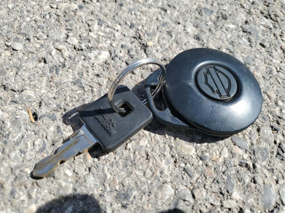 2006 HARLEY-DAVIDSON XL1200 C - 1HD1CGP126K404707