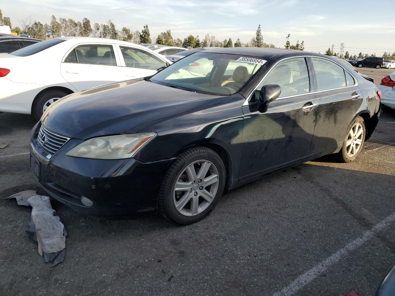 2009 LEXUS ES 350 - JTHBJ46G492340740