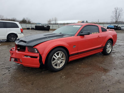 2005 FORD MUSTANG GT - 1ZVFT82H555138661