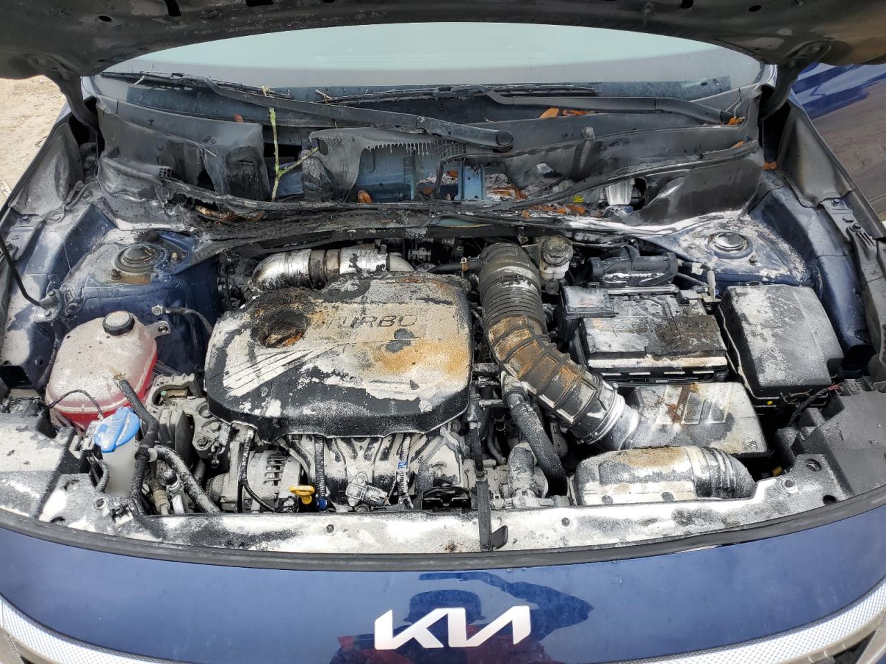 2023 KIA SELTOS SX - KNDETCA20P7360501