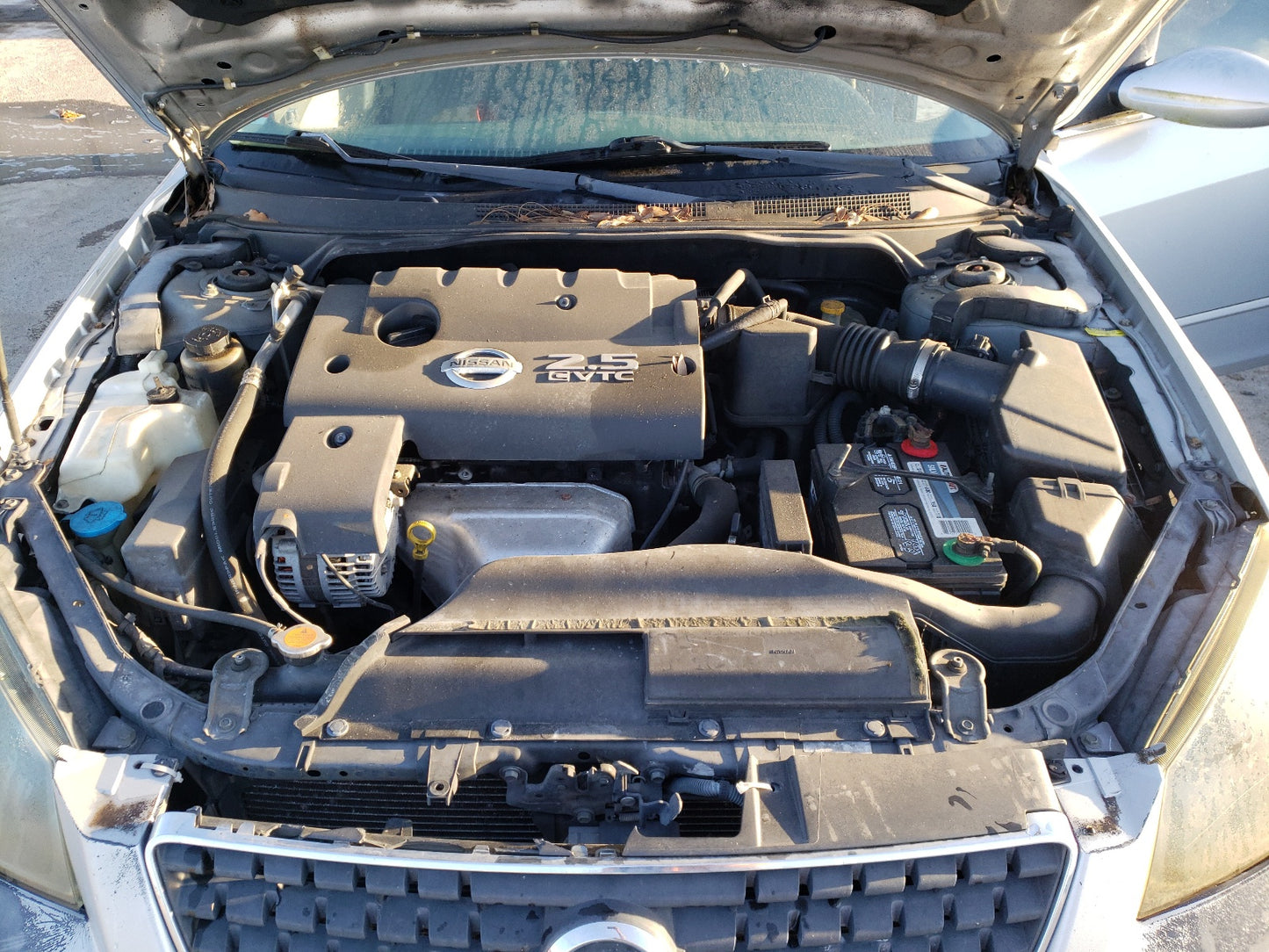 2006 NISSAN ALTIMA - 1N4AL11D36N451752