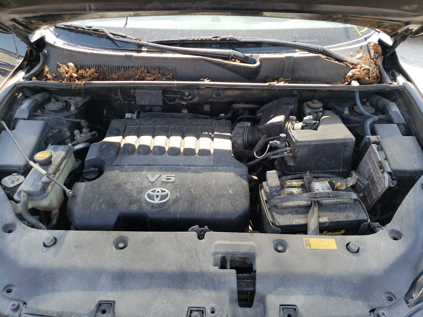 2006 TOYOTA RAV4 - JTMBK33V165007787