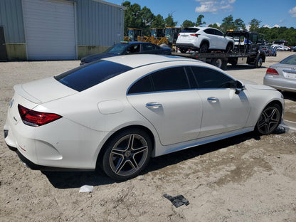 2019 MERCEDES-BENZ CLS 450 4M - WDD2J5KB4KA018232
