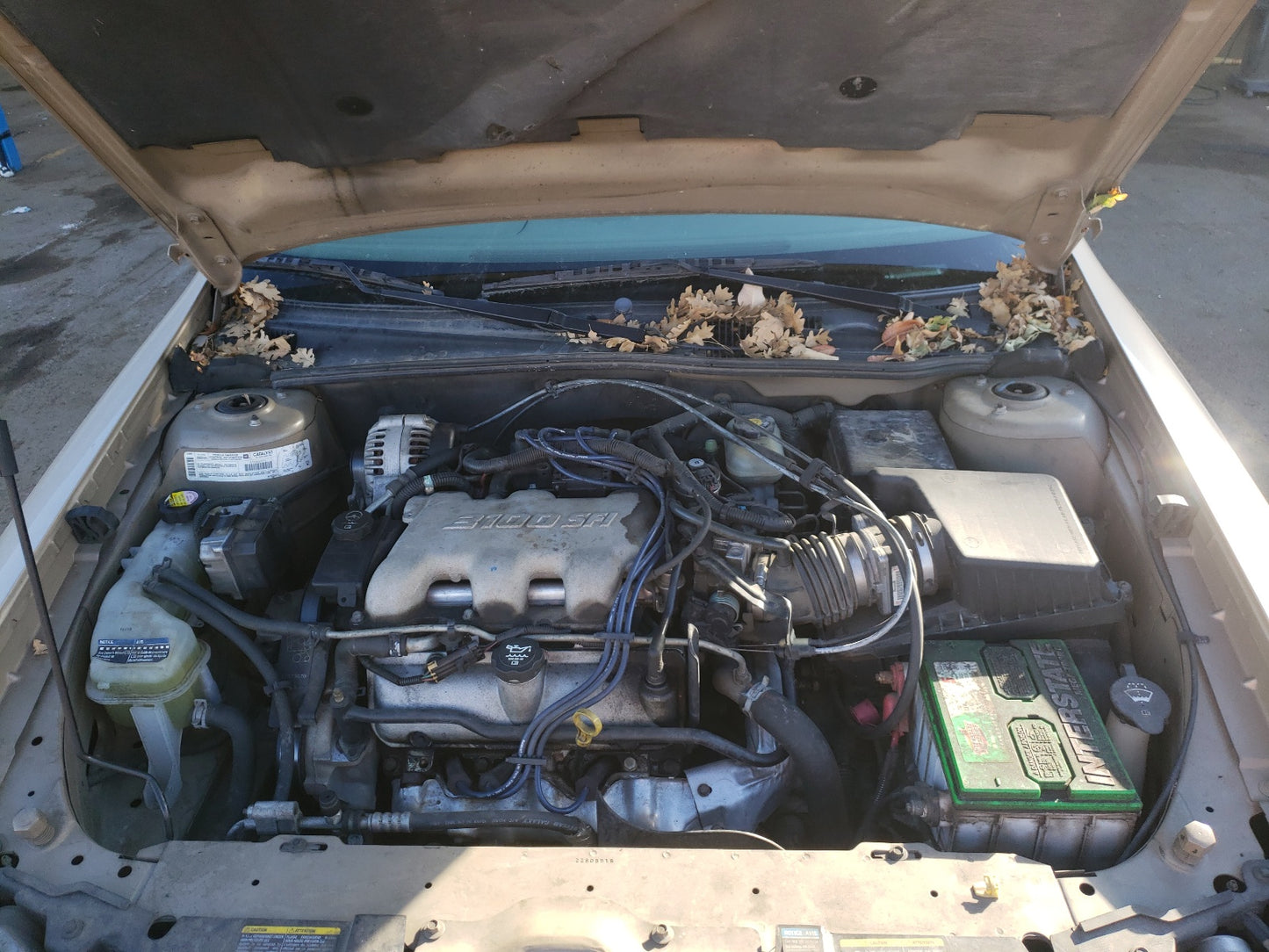 2002 CHEVROLET MALIBU LS - 1G1NE52J52M674272