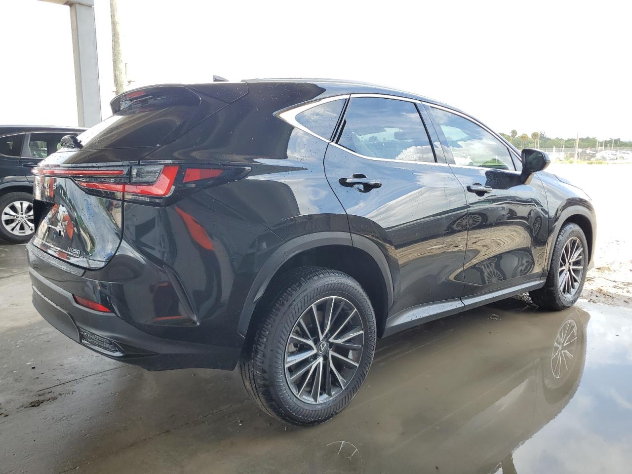 2025 LEXUS NX 250 PRE - 2T2GDCAZ9SC016834