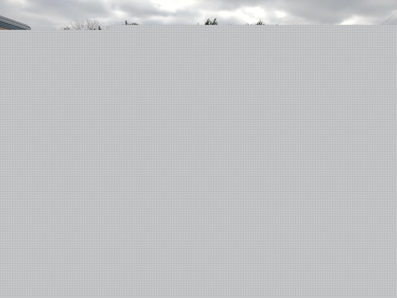 2019 FORD TRANSIT CO - NM0LS7E26K1404540