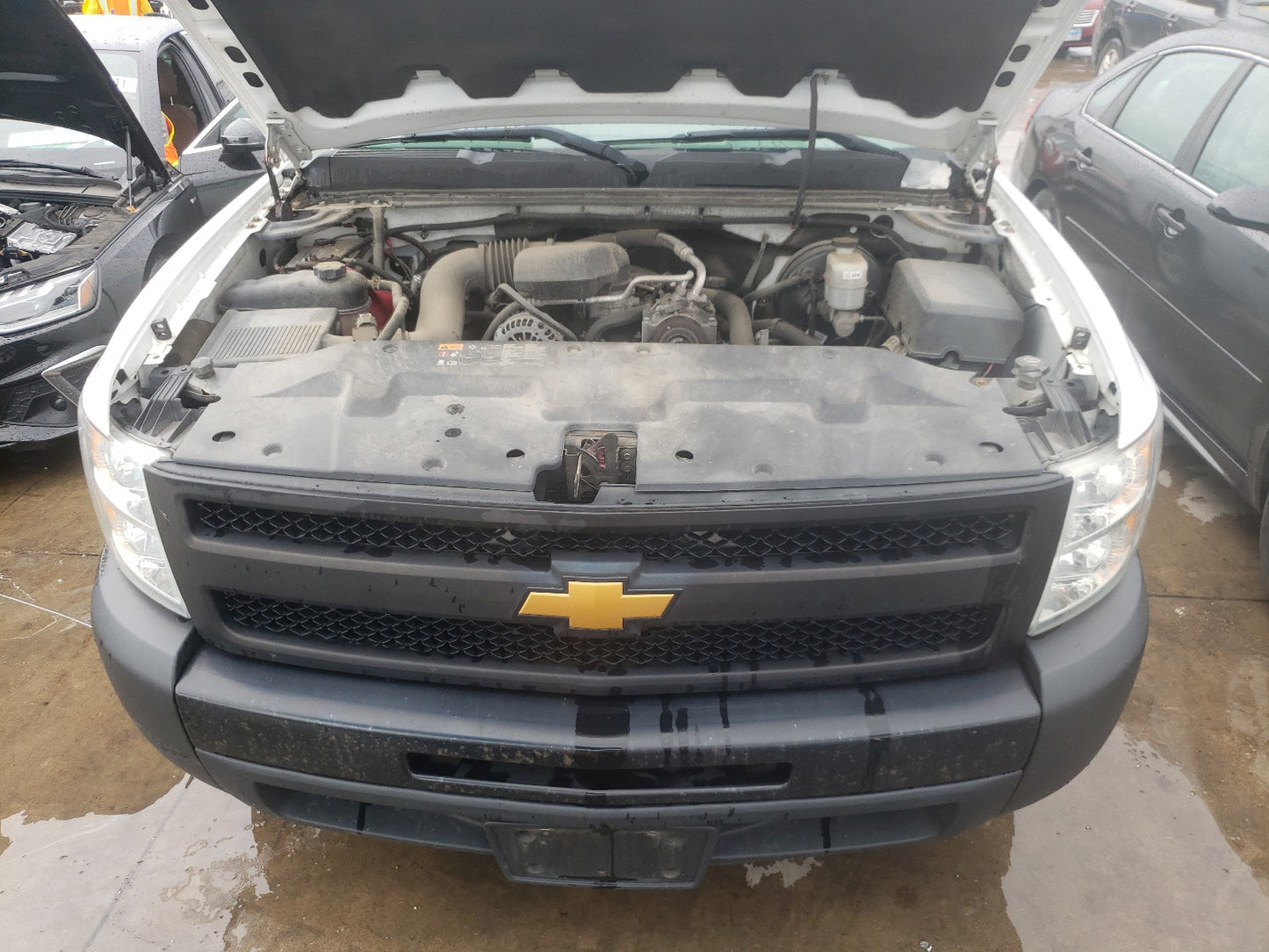 2013 CHEVROLET SILVERADO - 1GCNCPEX4DZ900333