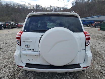 2010 TOYOTA RAV4 - 2T3BF4DVXAW046369