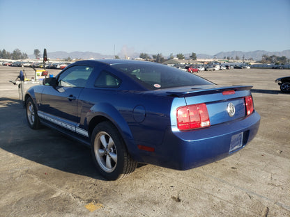 2007 FORD MUSTANG - 1ZVHT80N575363960