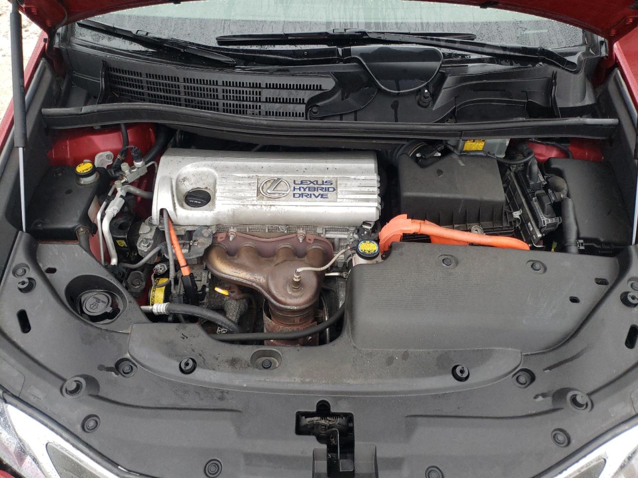 2010 LEXUS HS 250H - JTHBB1BA4A2021940