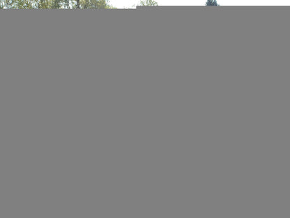 2008 TOYOTA CAMRY CE - 4T1BE46K88U210274