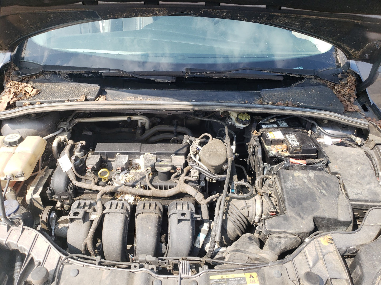 2013 FORD FOCUS SE - 1FADP3K27DL339958