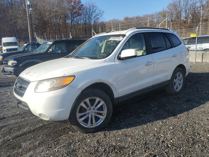 2007 HYUNDAI SANTA FE S - 5NMSH73E97H114719