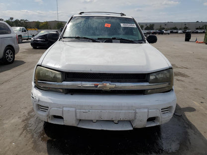 2006 CHEVROLET TRAILBLAZE - 1GNDS13S062317103