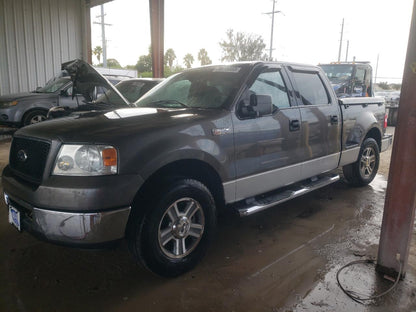 2006 FORD F150 - 1FTRW02W56KC10209
