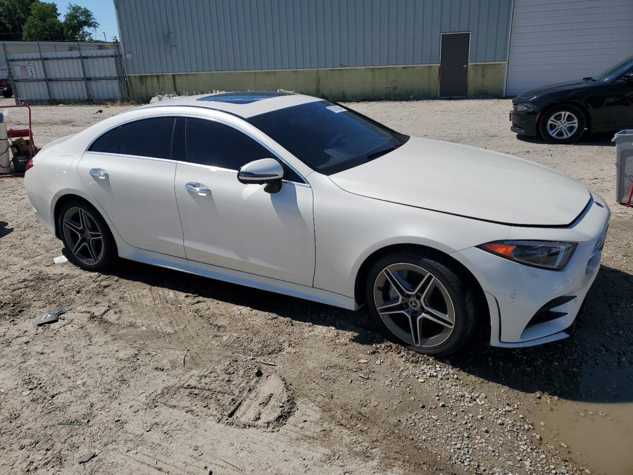 2019 MERCEDES-BENZ CLS 450 4M - WDD2J5KB4KA018232