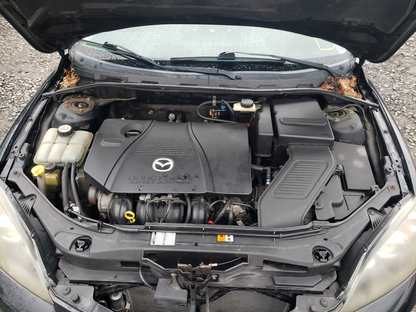 2005 MAZDA 3 HATCHBAC - JM1BK343X51249710