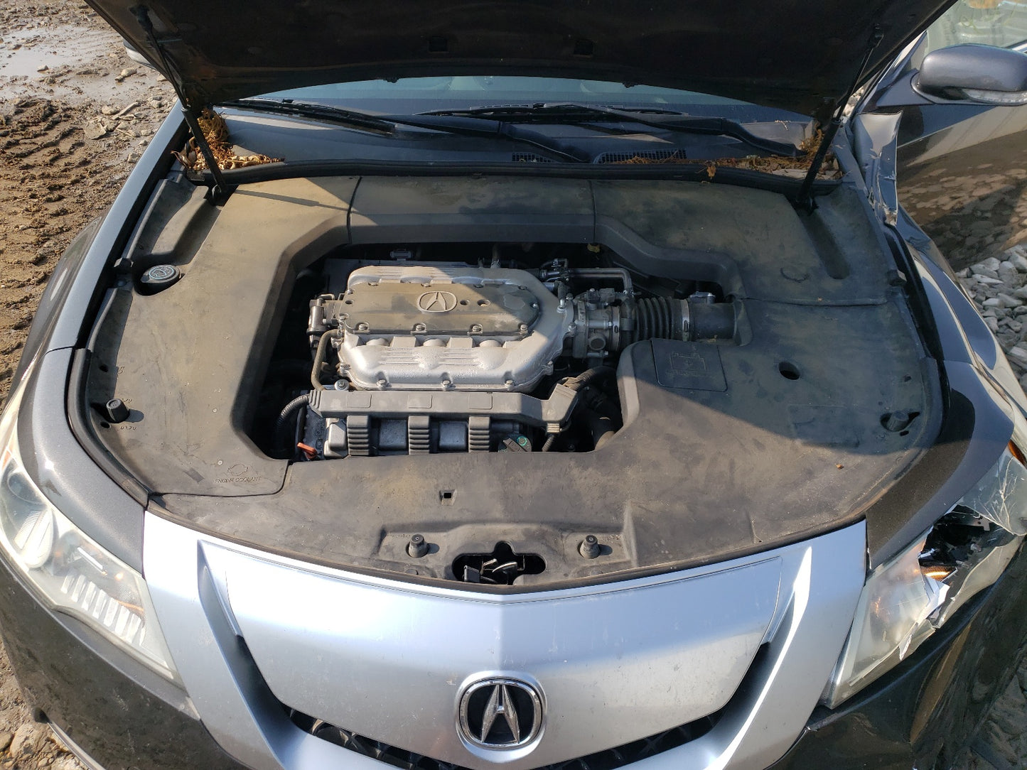 2010 ACURA TL - 19UUA8F25AA013345