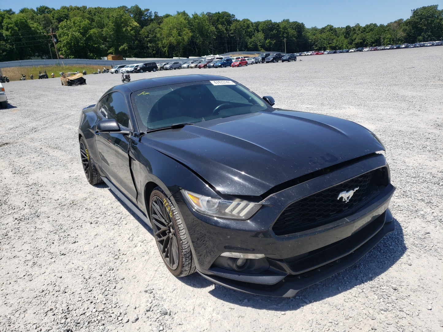2015 FORD MUSTANG - 1FA6P8AM5F5357391