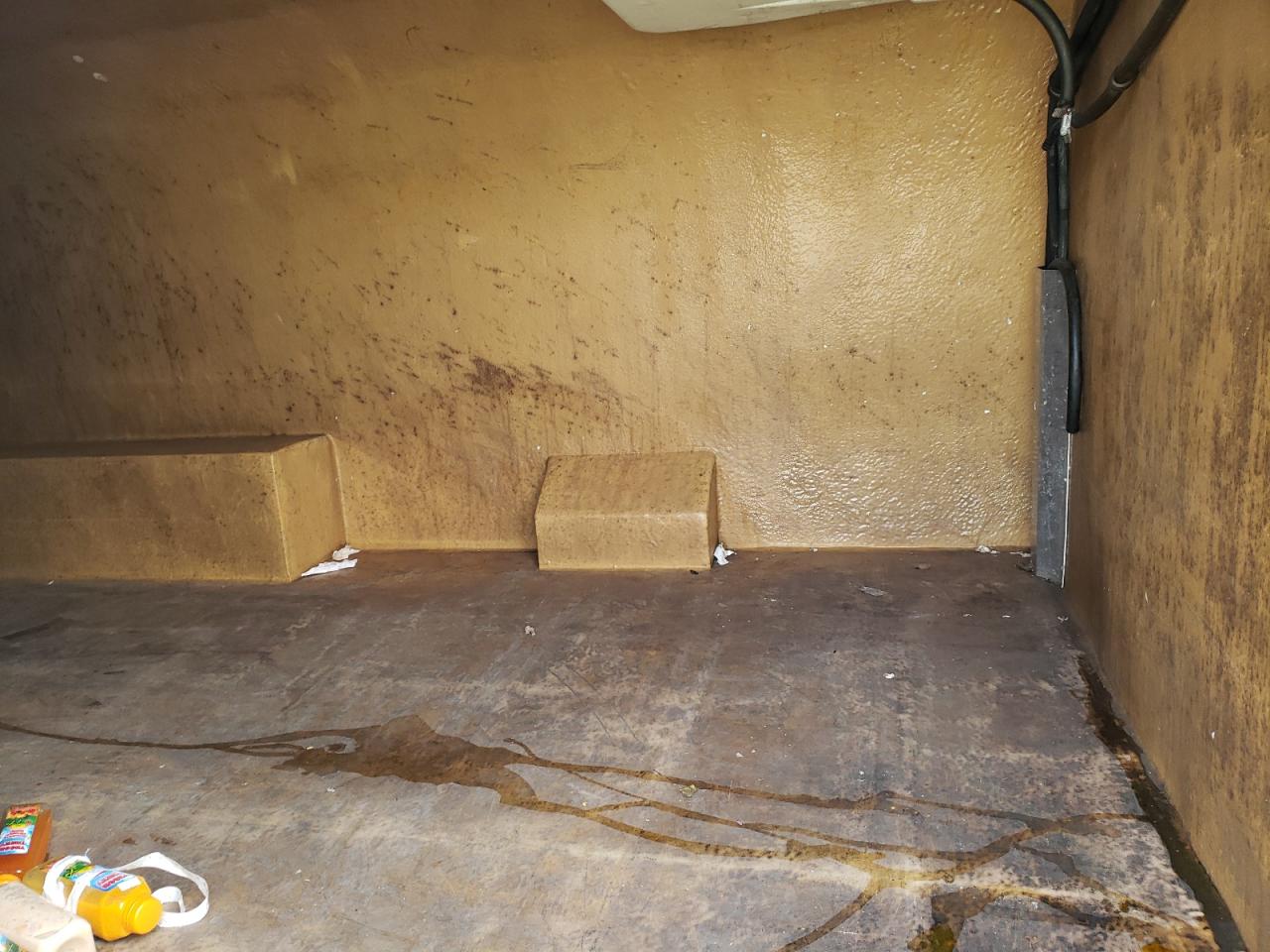 2011 CHEVROLET EXPRESS G2 - 1GCWGGCA8B1189481