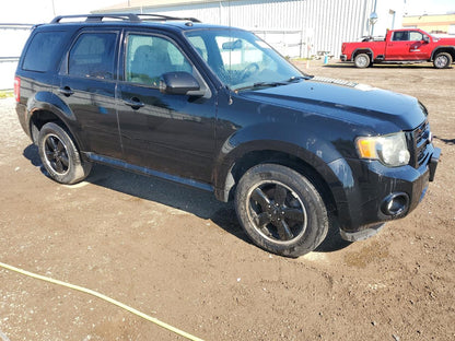 2010 FORD ESCAPE XLT - 1FMCU0DGXAKA51273