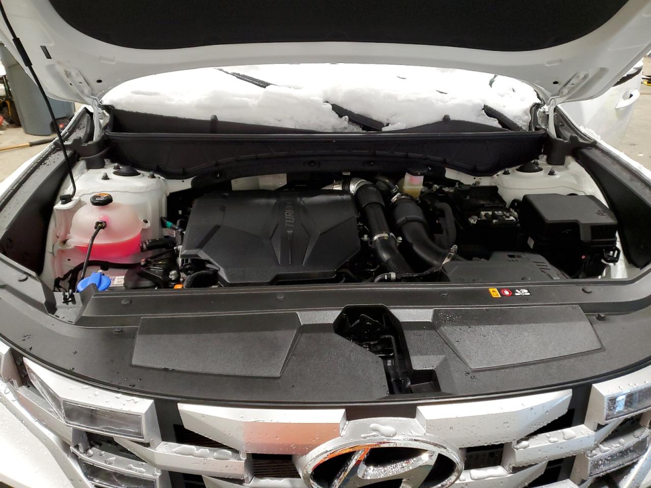 2023 HYUNDAI SANTA CRUZ - 5NTJDDAF5PH050393