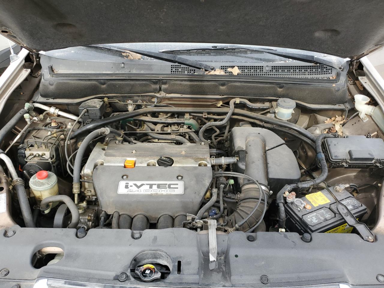 2004 HONDA CR-V EX - JHLRD78824C002497