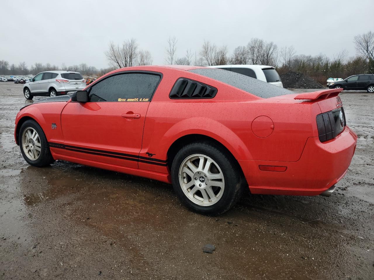 2005 FORD MUSTANG GT - 1ZVFT82H555138661