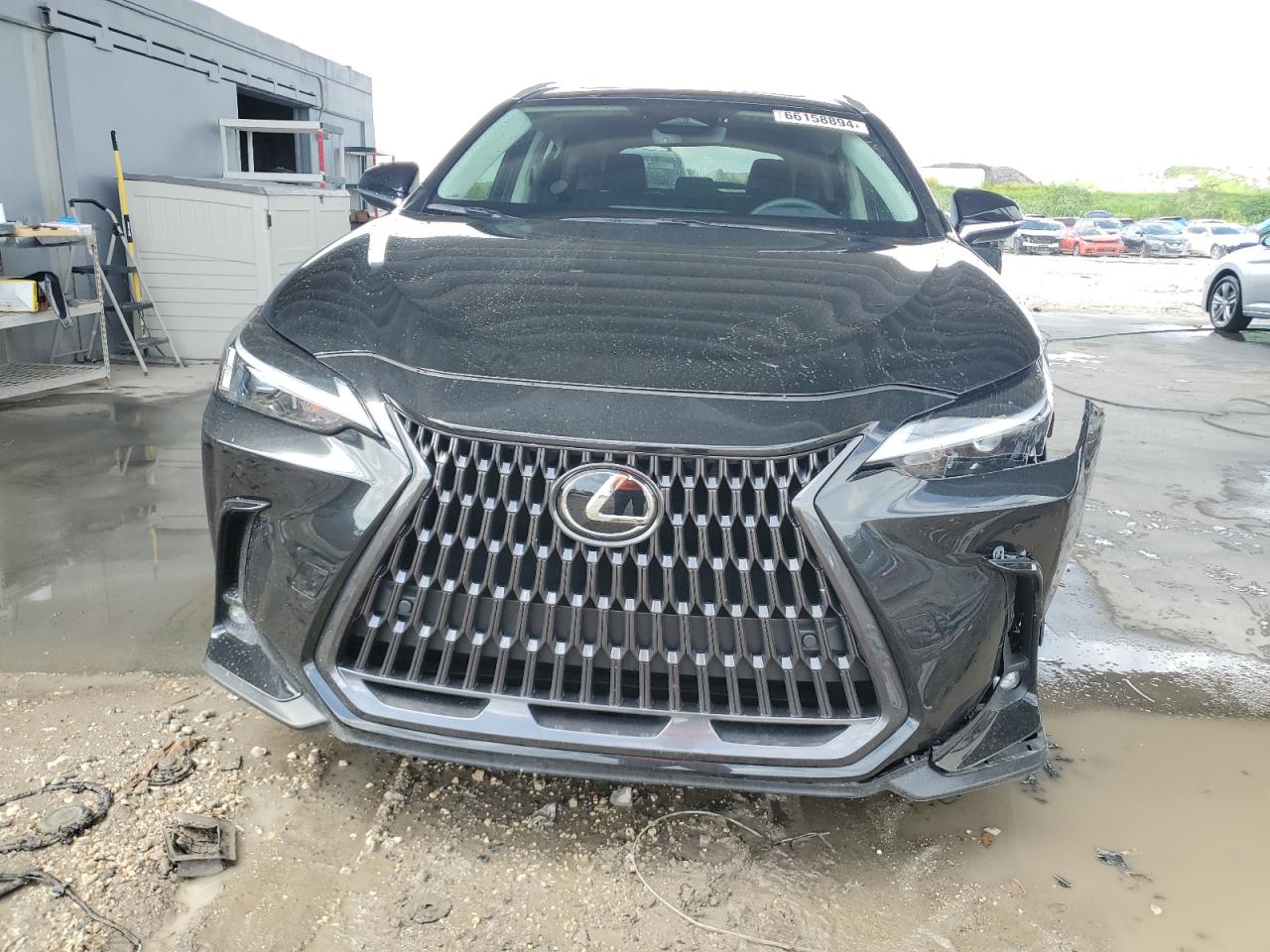2025 LEXUS NX 250 PRE - 2T2GDCAZ9SC016834