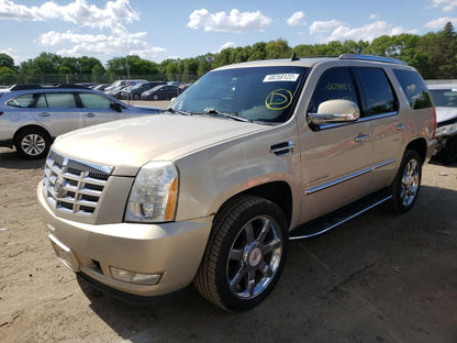 2009 CADILLAC ESCALADE L - 1GYFK23239R156114