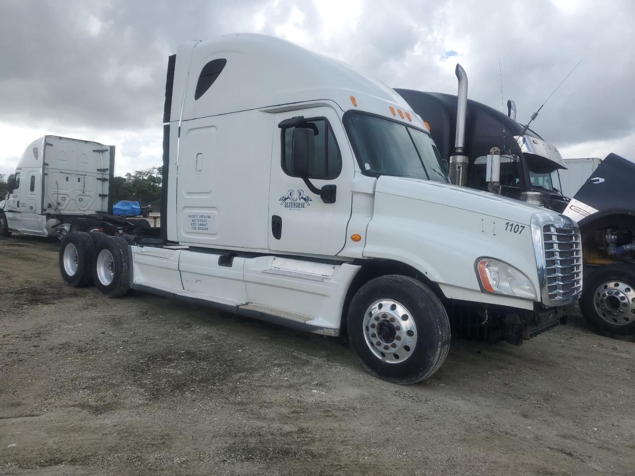 2014 FREIGHTLINER CASCADIA 1 - 1FUJGLDR0ELFH6646
