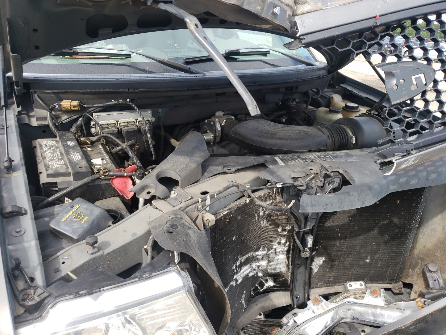 2005 FORD F150 SUPER - 1FTRW12WX5FB51879