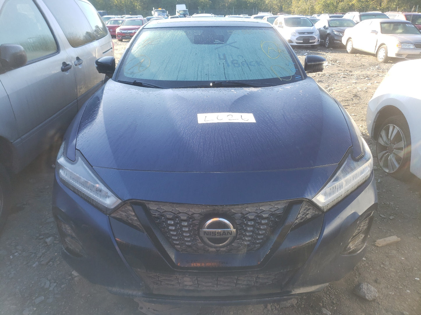 2017 NISSAN MAXIMA 3.5 - 1N4AA6AP4HC421266