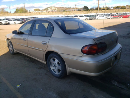 2002 CHEVROLET MALIBU LS - 1G1NE52J52M674272