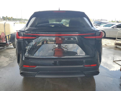 2025 LEXUS NX 250 PRE - 2T2GDCAZ9SC016834