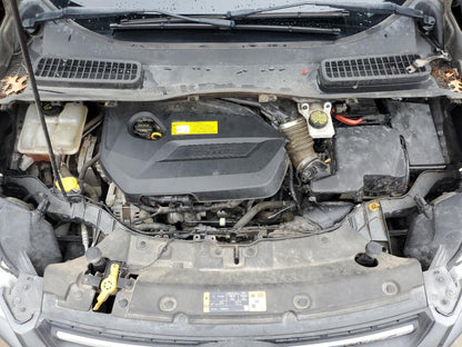 2016 FORD ESCAPE SE - 1FMCU0GX8GUB58699