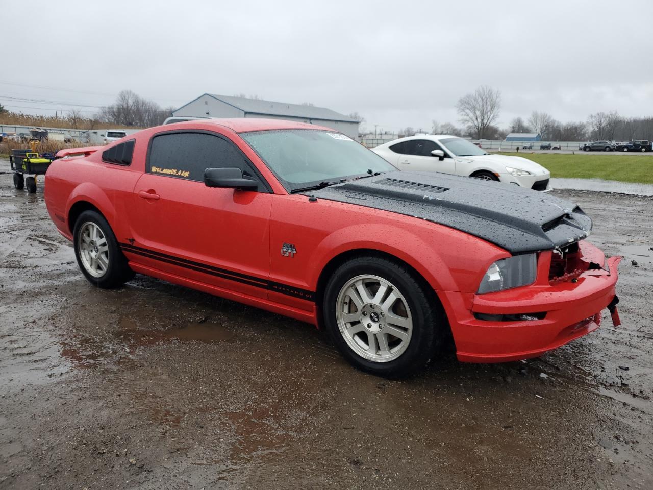 2005 FORD MUSTANG GT - 1ZVFT82H555138661