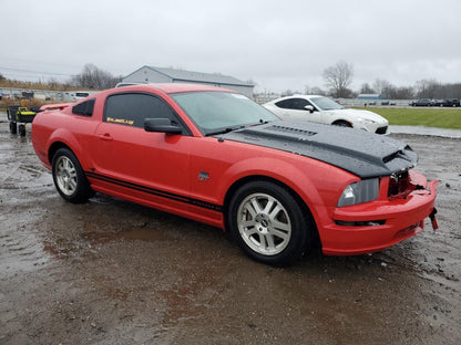 2005 FORD MUSTANG GT - 1ZVFT82H555138661