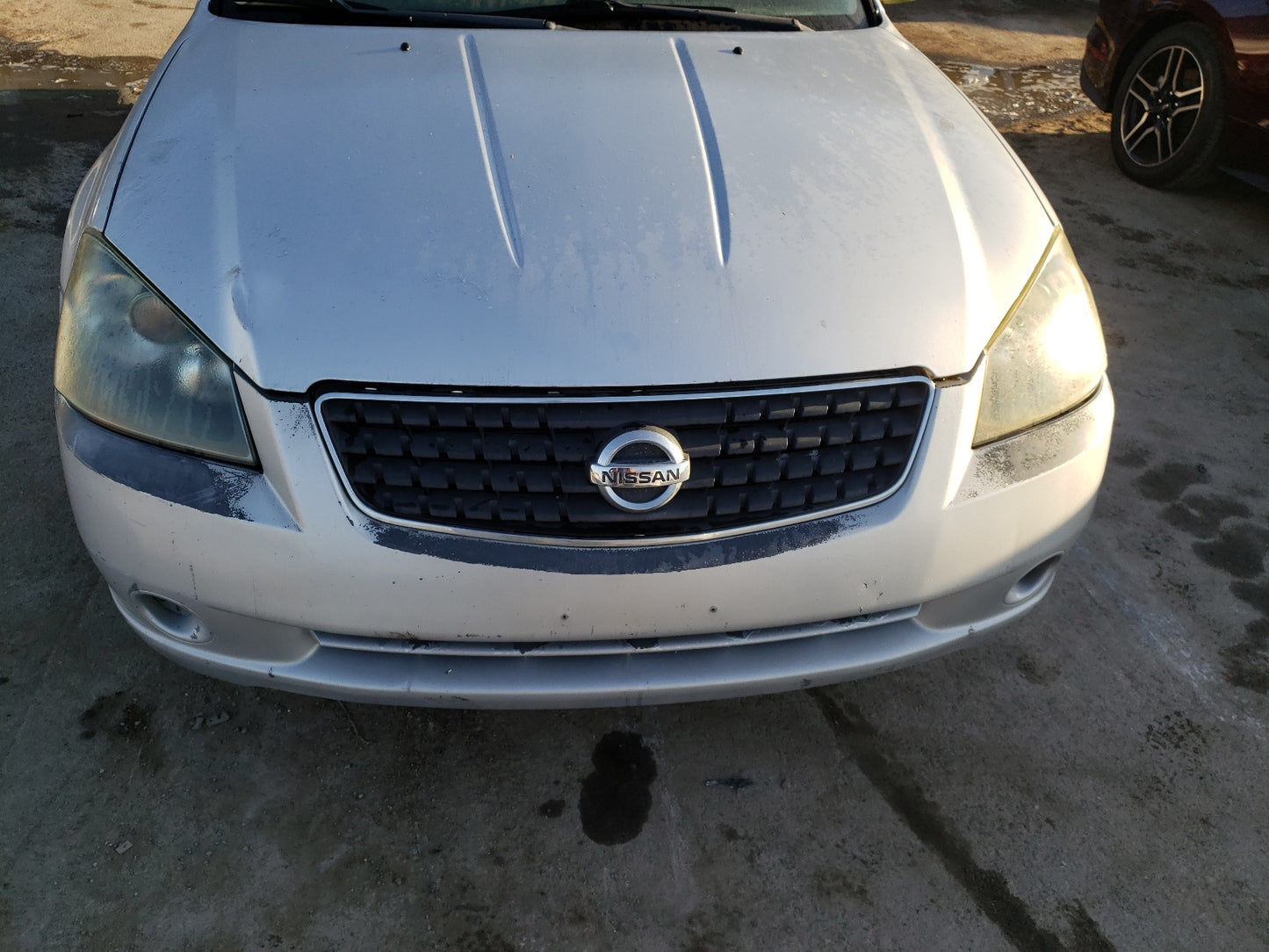 2006 NISSAN ALTIMA - 1N4AL11D36N451752