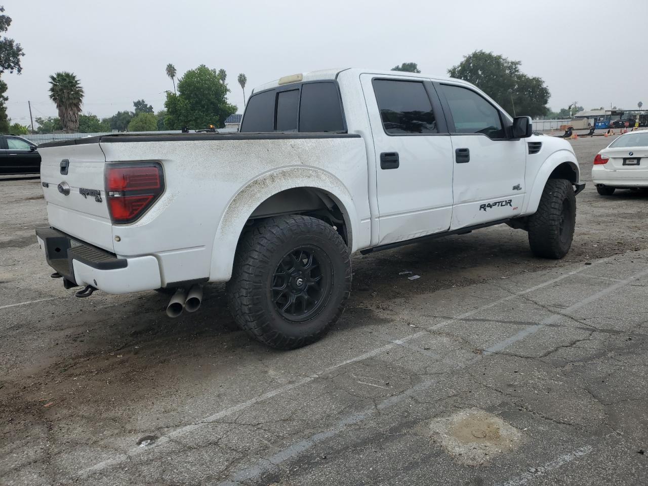 2013 FORD F150 SVT R - 1FTFW1R61DFC05464