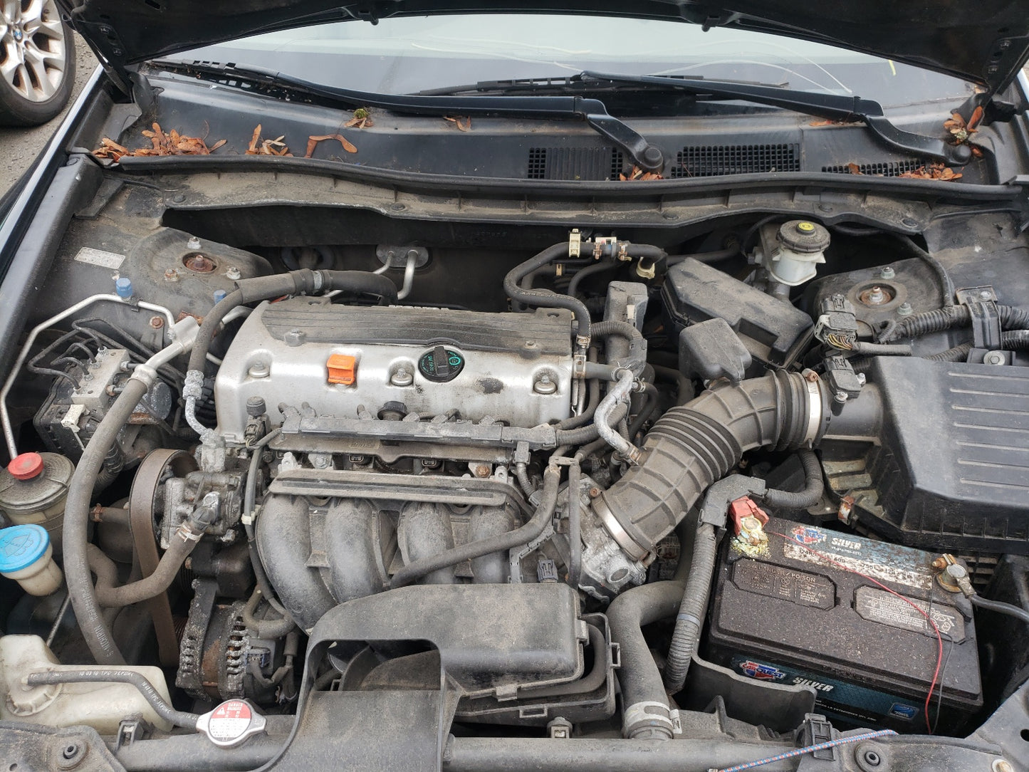 2010 HONDA ACCORD LX - 1HGCP2F31AA173075