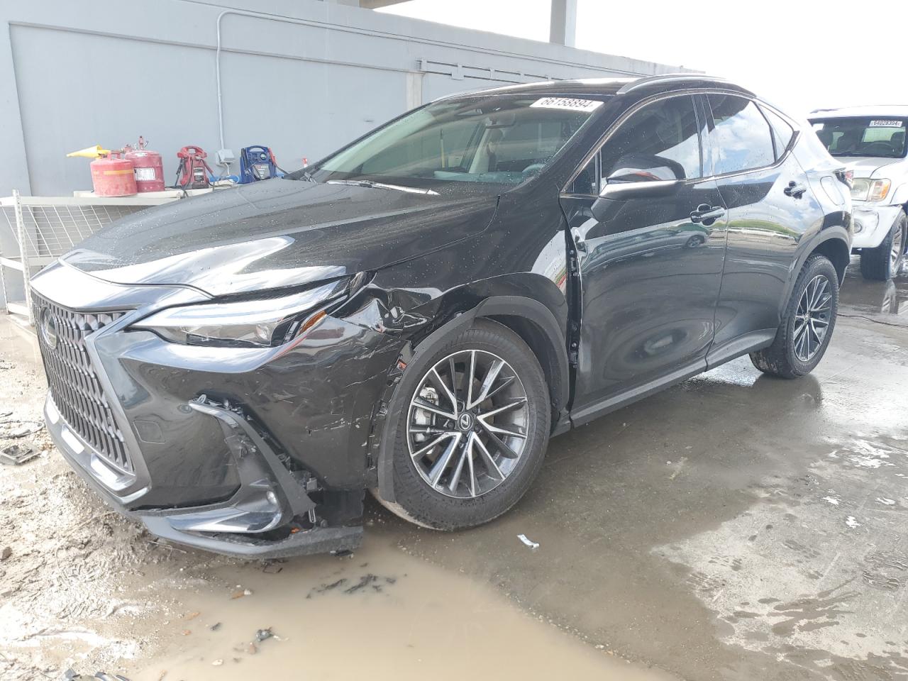 2025 LEXUS NX 250 PRE - 2T2GDCAZ9SC016834