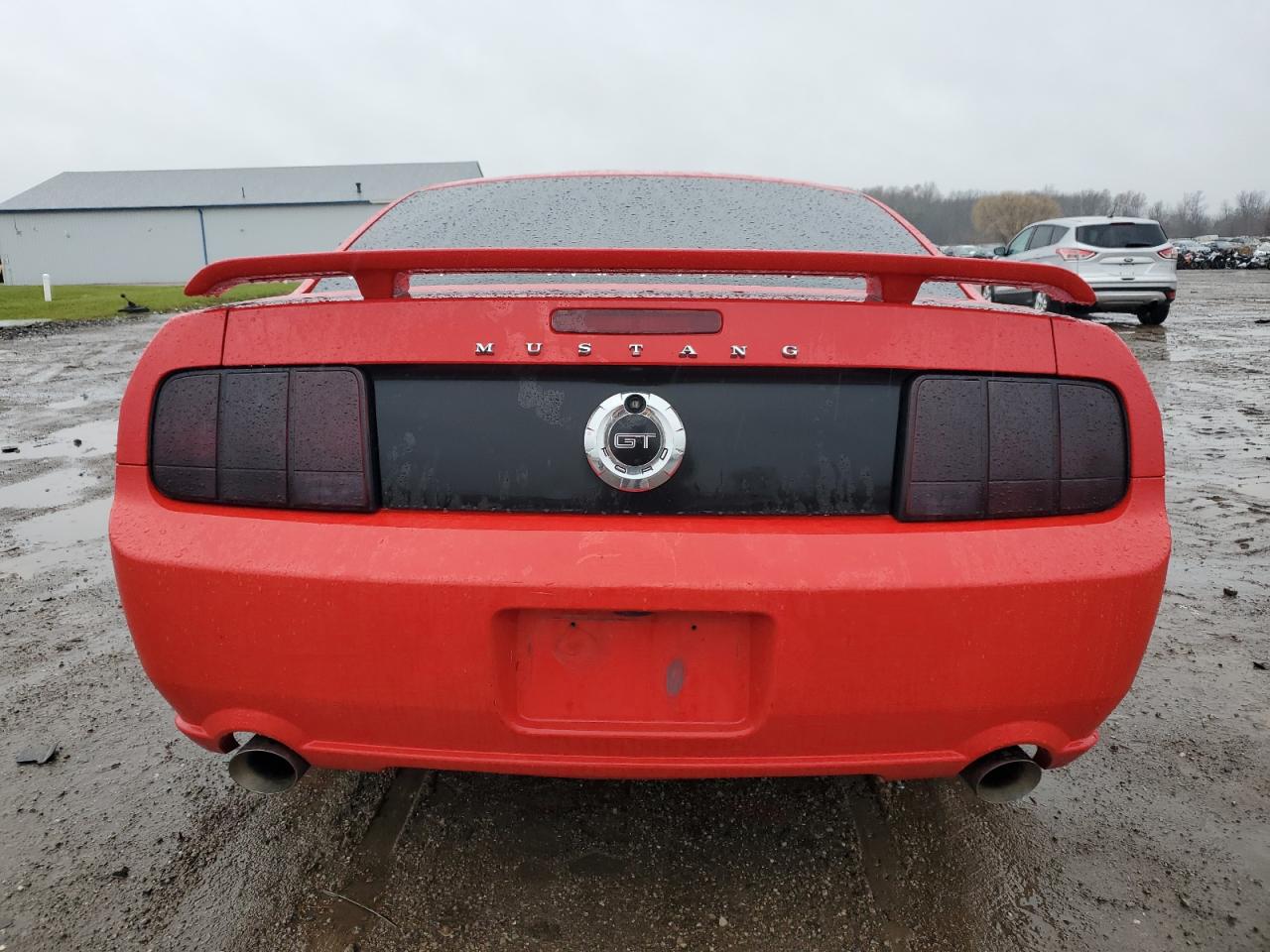 2005 FORD MUSTANG GT - 1ZVFT82H555138661