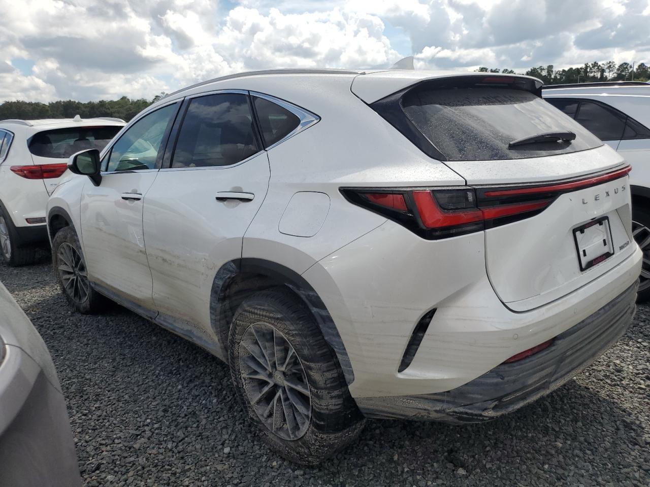 2025 LEXUS NX 250 PRE | WHITE | VIN: 2T2GDCAZXSC020763 — photo 2