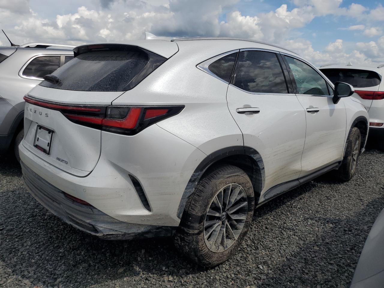 2025 LEXUS NX 250 PRE | WHITE | VIN: 2T2GDCAZXSC020763 — photo 3