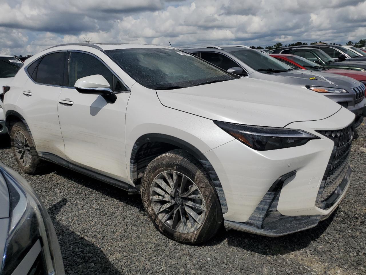 2025 LEXUS NX 250 PRE | WHITE | VIN: 2T2GDCAZXSC020763 — photo 4