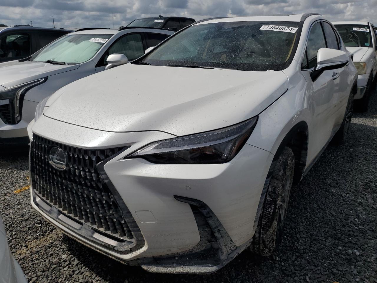2025 LEXUS NX 250 PRE | WHITE | VIN: 2T2GDCAZXSC020763 — photo 5